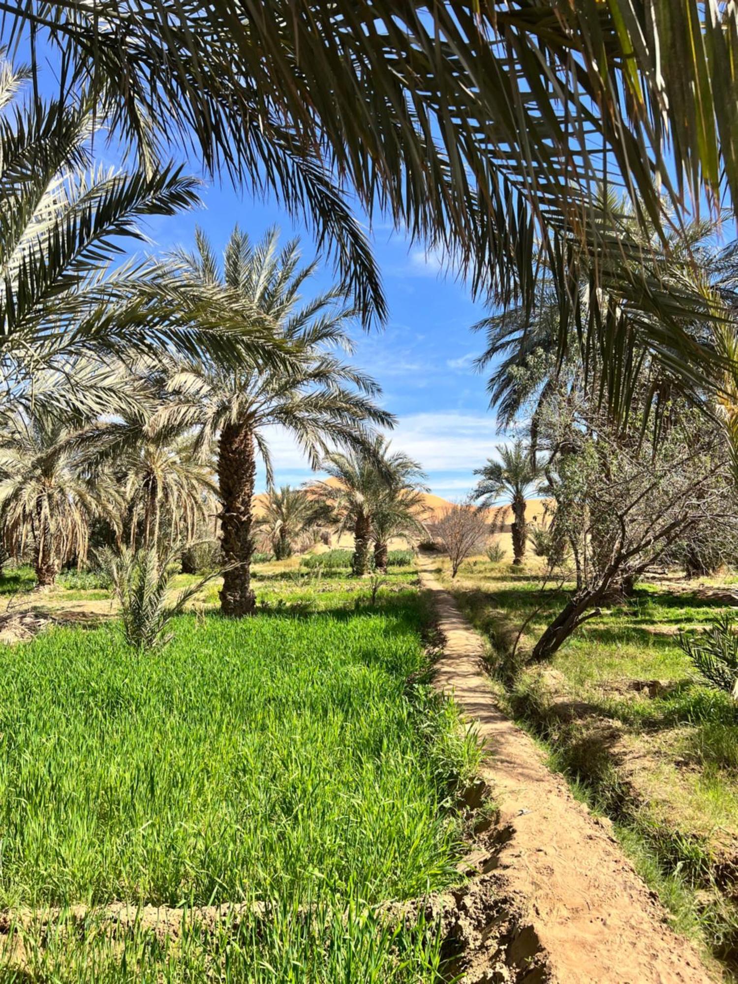 Amskou Luxury Desert Camp Merzouga Eksteriør billede